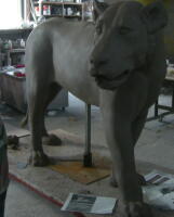 ���C�I���S�y���^