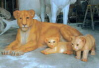 �e���C�I�����X