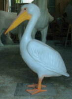 �y���J��