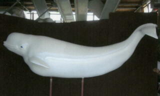 ���C���J