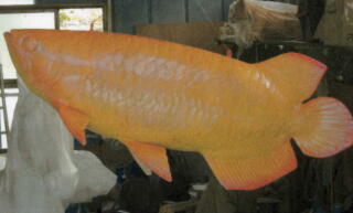 �A�����i